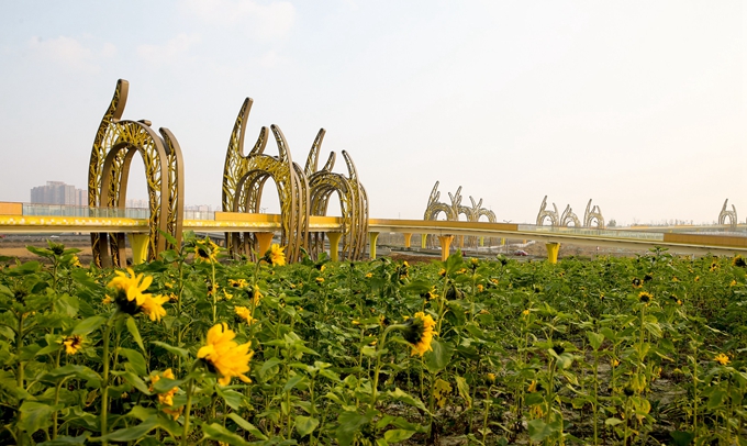 首页|yl6809永利集团有限公司官方网站