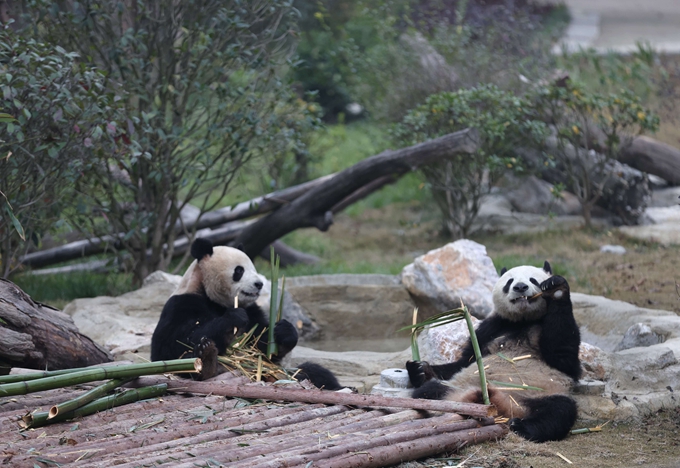 首页|yl6809永利集团有限公司官方网站