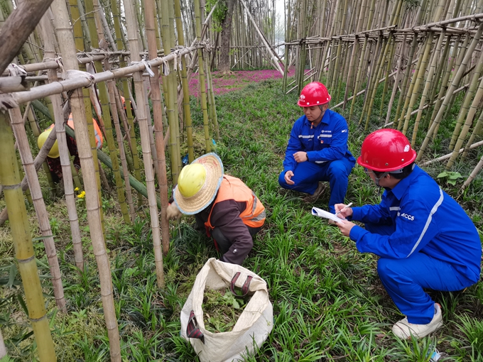 首页|yl6809永利集团有限公司官方网站